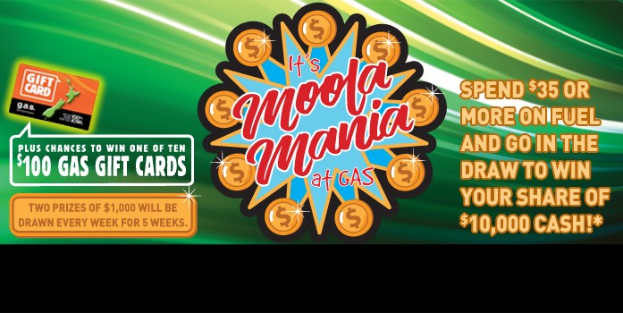 Moola Mania Promo Summer 17/18